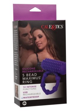 5 Bead Maximus Ring Purple