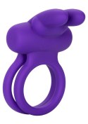 Rockin' Rabbit Enhancer Purple