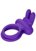 Rockin' Rabbit Enhancer Purple