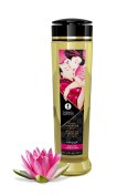 Olejek- SHUNGA MASSAGE OIL Amour Sweet Lotus 240ml Shunga