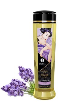 Olejek- SHUNGA MASSAGE OIL SENSATION 240ml Shunga