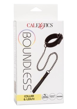 Boundless Collar & Leash Black