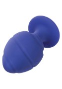 Cheeky Buttplug Purple