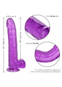 Queen Size Dong 10 Inch Purple