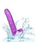 Queen Size Dong 8 Inch Purple