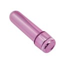 Mini Vibratore Timeless Pocket Treasure (rosa) Toyz4lovers