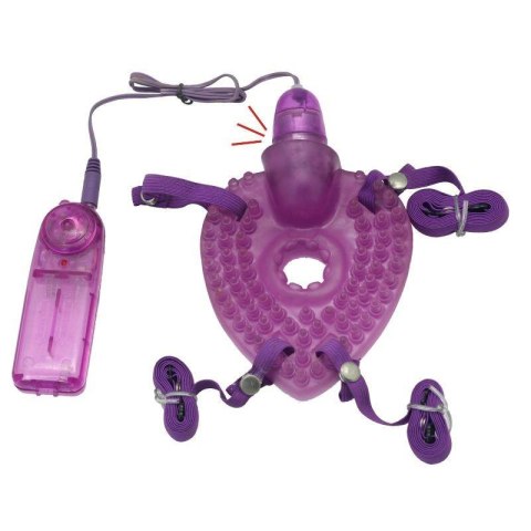 Stimolatore clitorideo Timeless Pleasure Turtle Toyz4lovers