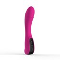 Vibratore design Toyz4Lovers Purple Toyz4lovers