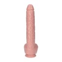 Duży penis naturalny kształt z przyssawką sex 40cm Toyz4lovers