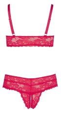 Bra and Red Briefs XL Cottelli CURVES