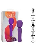 Stella Massager Purple