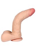 Dildo z kręgosłupem członek penis z jądrami 23cm B - Series Real