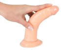 Zakrzywione dildo żylaste penis z przyssawką 18cm European Lover