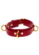 D-Ring Collar Deluxe Taboom