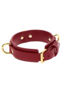 D-Ring Collar Deluxe Taboom