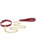 O-Ring Collar and Chain Leash Taboom