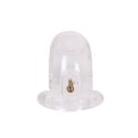 MALESATION Chastity Cage clear Malesation