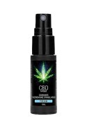 CBD Cannabis Pheromone Stimulator For Him - 15ml Pharmquests