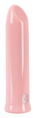 Shaker Vibe Pink You2Toys