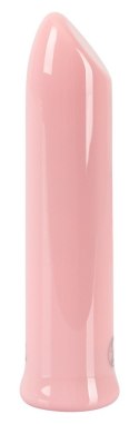 Shaker Vibe Pink You2Toys