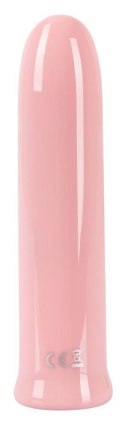 Shaker Vibe Pink You2Toys