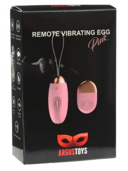 Argus-Remote Control Vibrating Egg - USB Pink Argus