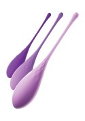 Kegel Train-Her Set Purple