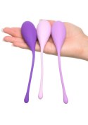 Kegel Train-Her Set Purple