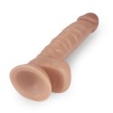 Dildo z przyssawką penis realistyczny żylasty Lovetoy