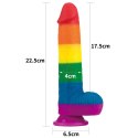 Dildo tęczowe elastyczne z przyssawką 22,5 cm Lovetoy