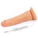 Majtki strap-on w zestawie z wibrującym dildo 19cm Lovetoy