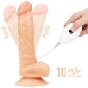 Majtki strap-on w zestawie z wibrującym dildo 20cm Lovetoy