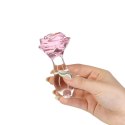 Pillow Talk - Rosy Luxurious Glass Anal Plug with Bonus Bullet Pillow Talk