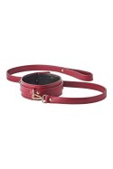 BLAZE ELITE COLLAR AND LEASH RED Dream Toys