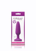 Colors Pleasures Small Plug Purple NS Novelties