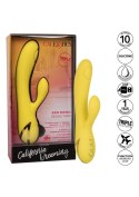 San Diego Seduction Yellow CalExotics