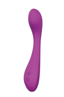 VIBES OF LOVE SUGAR BRITCHES PURPLE Dream Toys