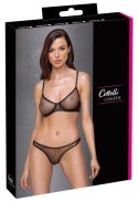 BH Set Shaped 75B/S Cottelli LINGERIE