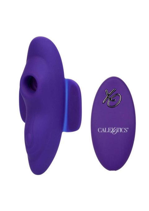 Remote Suction Panty Teaser Purple CalExotics