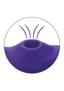 Remote Suction Panty Teaser Purple CalExotics