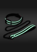 Glo Collar And Leash Glow in the dark NS Novelties