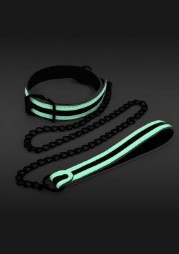 Glo Collar And Leash Glow in the dark NS Novelties