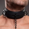 Collared Temptress Necklace with Nipple Clamps Master Series