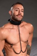 Collared Temptress Necklace with Nipple Clamps Master Series