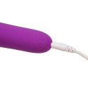 Masażer - Wonderlust Destiny Wand Purple