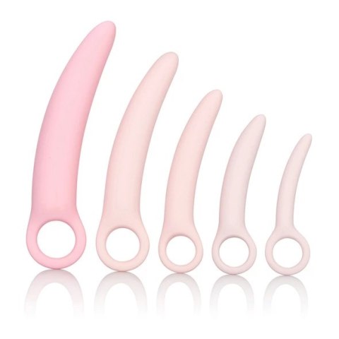 Zestaw dildo - Inspire Silicone Dilator 5 Pcs Set