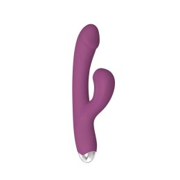 Dual rabbit vibrator