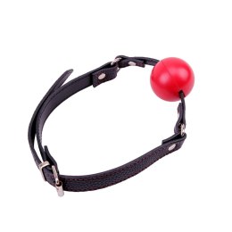 Red Ball Gag