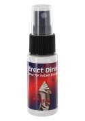 Erect Direct Spray 15ml Natural