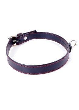 Fetish B - Series Collar 2cm Red Line